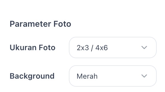 ID photo size selection: 2x3, 3x4, 4x6